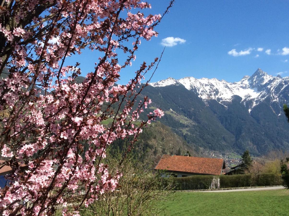 Double Room With A Kitchenette And Private Bathroom In A Beautiful Surrounding Sautens Εξωτερικό φωτογραφία